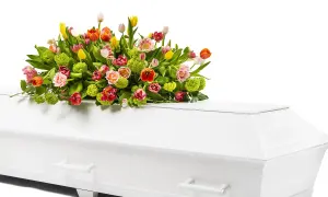 En vit kista med en vacker bukett av färgglada tulpaner och grönt. Vackra blommor till urnbegravning som symboliserar liv och hopp.