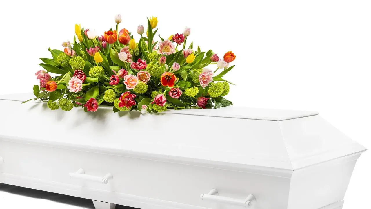 En vit kista med en vacker bukett av färgglada tulpaner och grönt. Vackra blommor till urnbegravning som symboliserar liv och hopp.